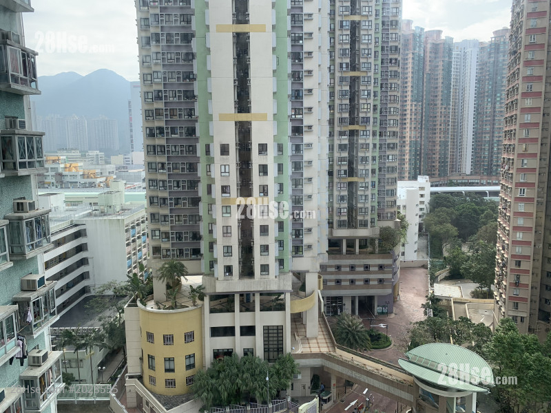 沙田第一城 租盤 1 房 , 1 浴室 284 平方呎 沙田第一城 租盤 1 房 , 1 浴室 284 平方呎