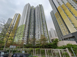 翠麗苑 大廈