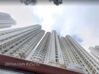 油美苑 大廈
