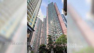 Queen's Terrace Building: 帝后華庭 T1-T3 座數分佈