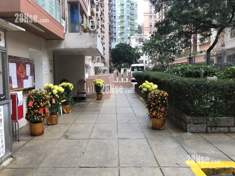 明园 售盘 2 房 , 1 浴室 460 平方尺