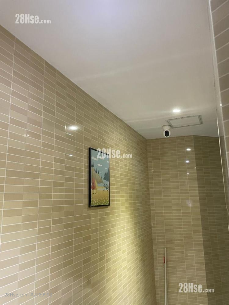 Nullah Road Rental 130 ft² Nullah Road Rental 130 ft²