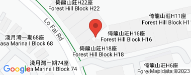 Forest Hill Room 37 Address