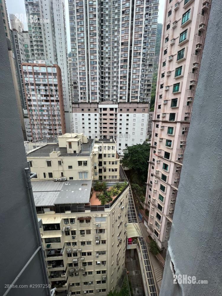 Rich Court Sell 1 Bedroom , 1 Bathroom 311 ft²