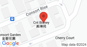 CNT Bisney Map