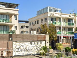 Lotus Hill Building