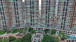 禮頓山 大廈