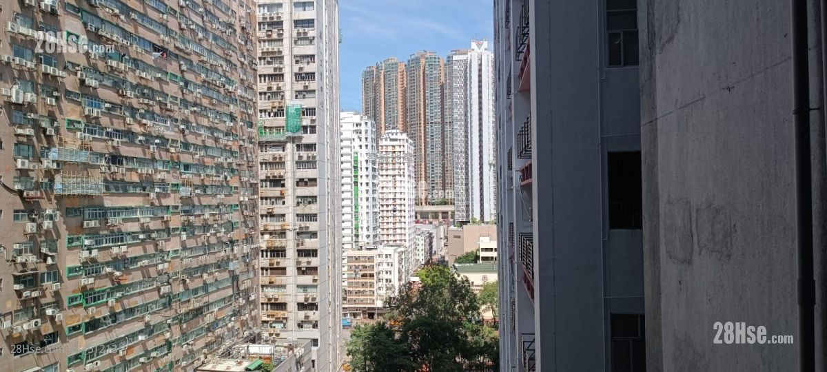 金熊工業中心 租盤 金熊工業中心 租盤