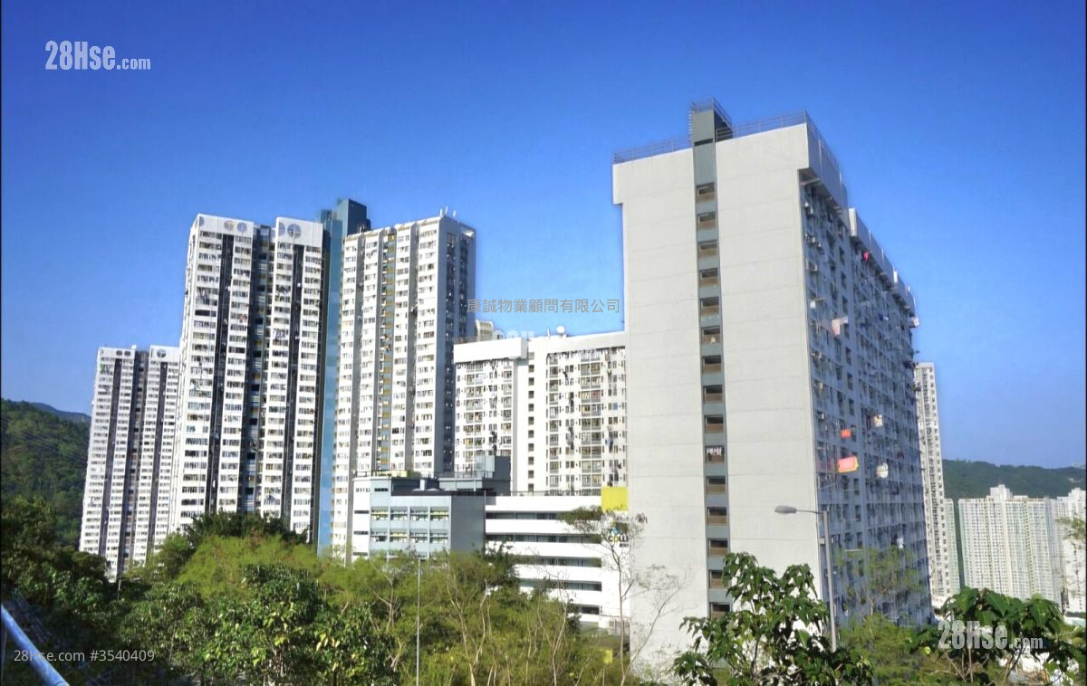 翠林邨 售盘 开放式间隔 , 1 浴室 349 平方尺