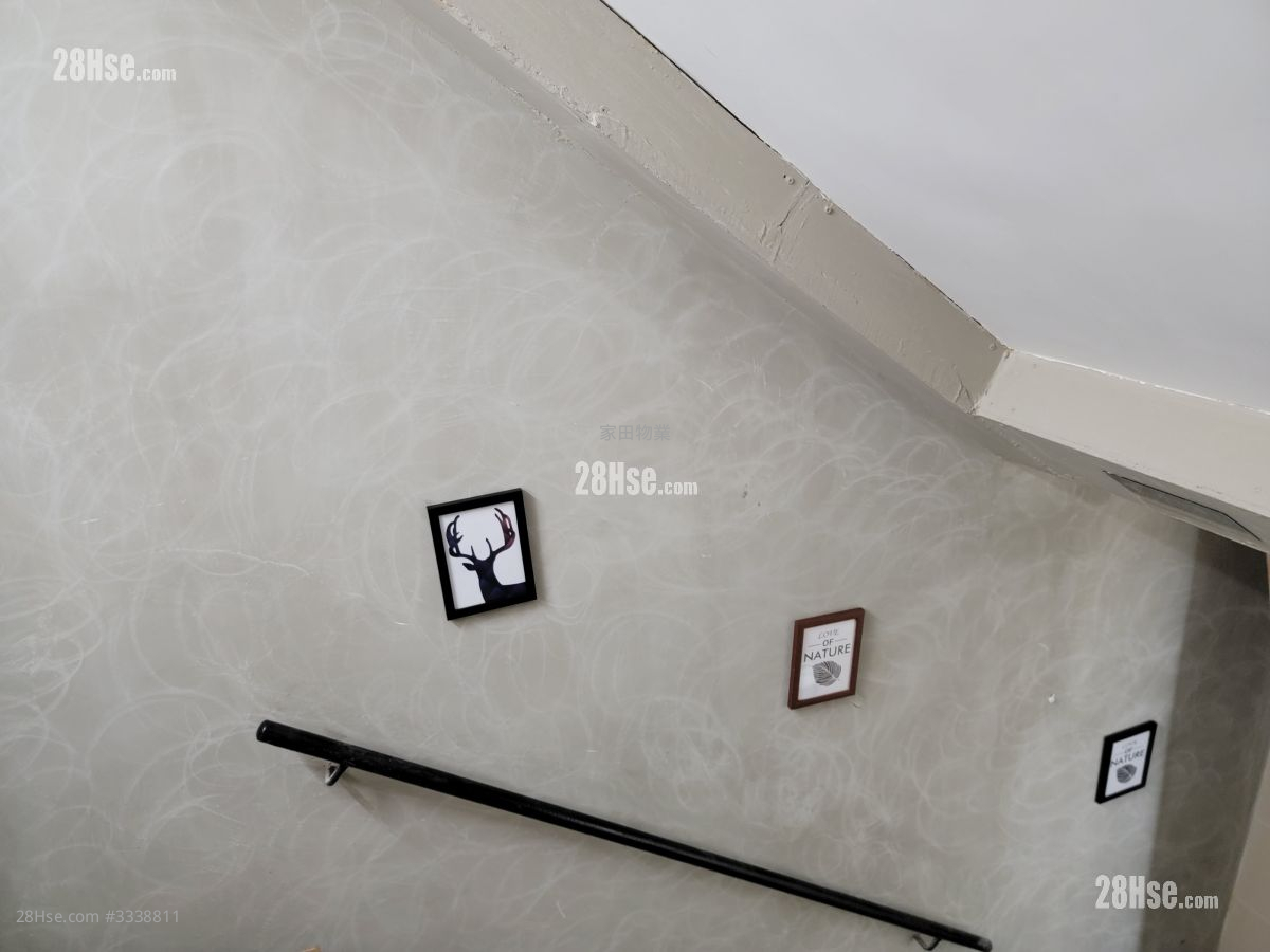193-195 Shanghai Street Rental 2 Bedrooms , 1 Bathroom 300 ft² 193-195 Shanghai Street Rental 2 Bedrooms , 1 Bathroom 300 ft²