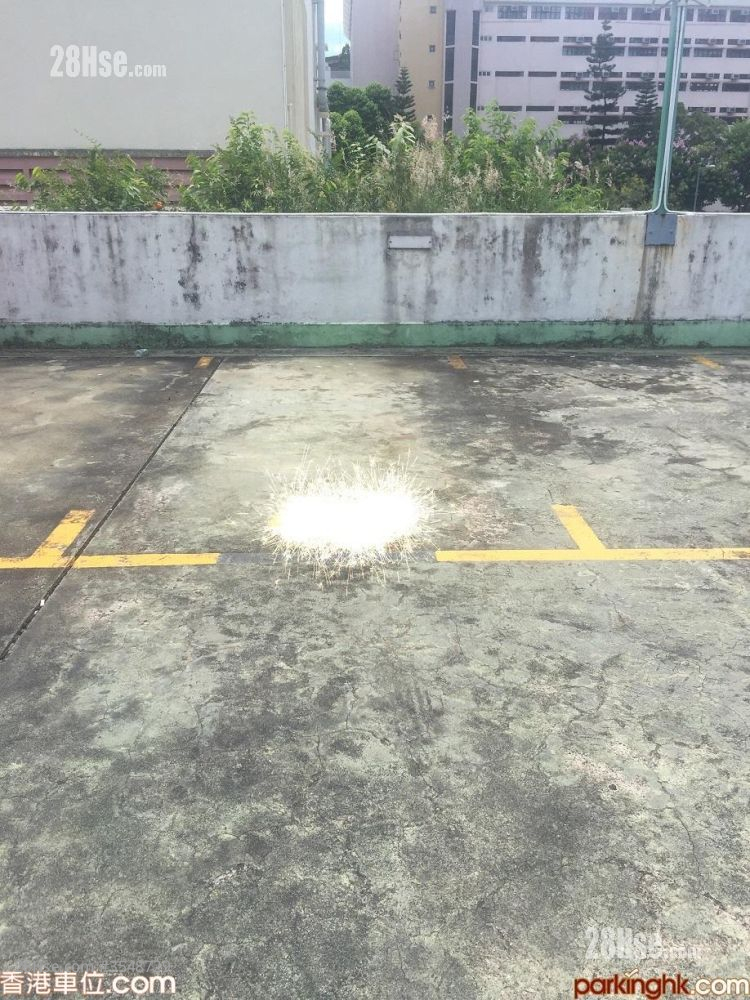 海福花園 租盤