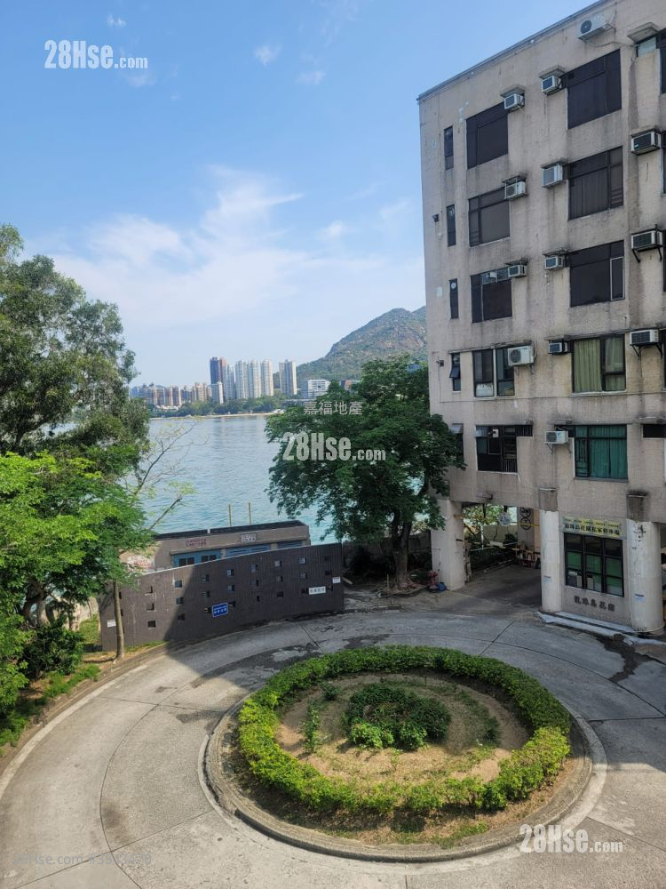 龙珠岛花园 租盘 1 房 , 1 浴室