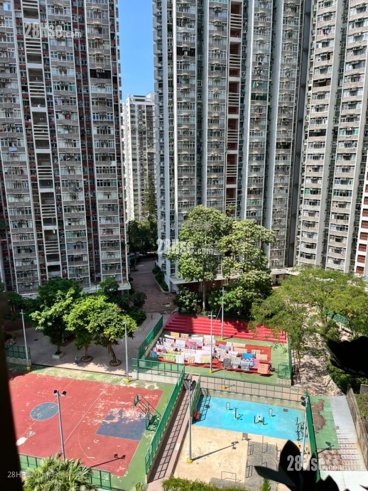 盈福苑 售盘 3 房 , 1 浴室 559 平方尺