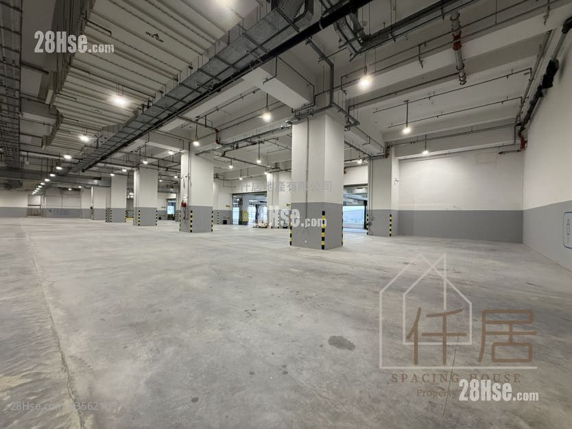 菜鳥智慧港 租盤 菜鳥智慧港 租盤