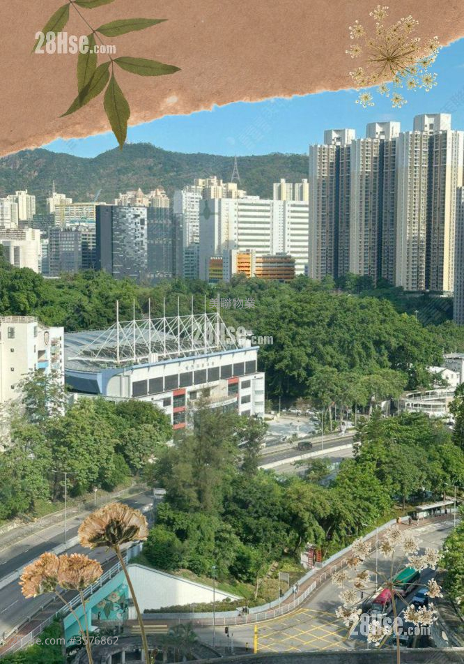 怡景园 售盘 3 房 , 1 浴室 505 平方尺