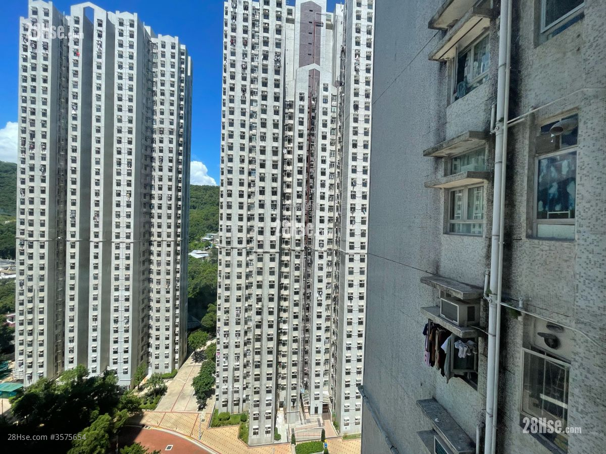 富宁花园 租盘 3 房 , 1 浴室 592 平方尺