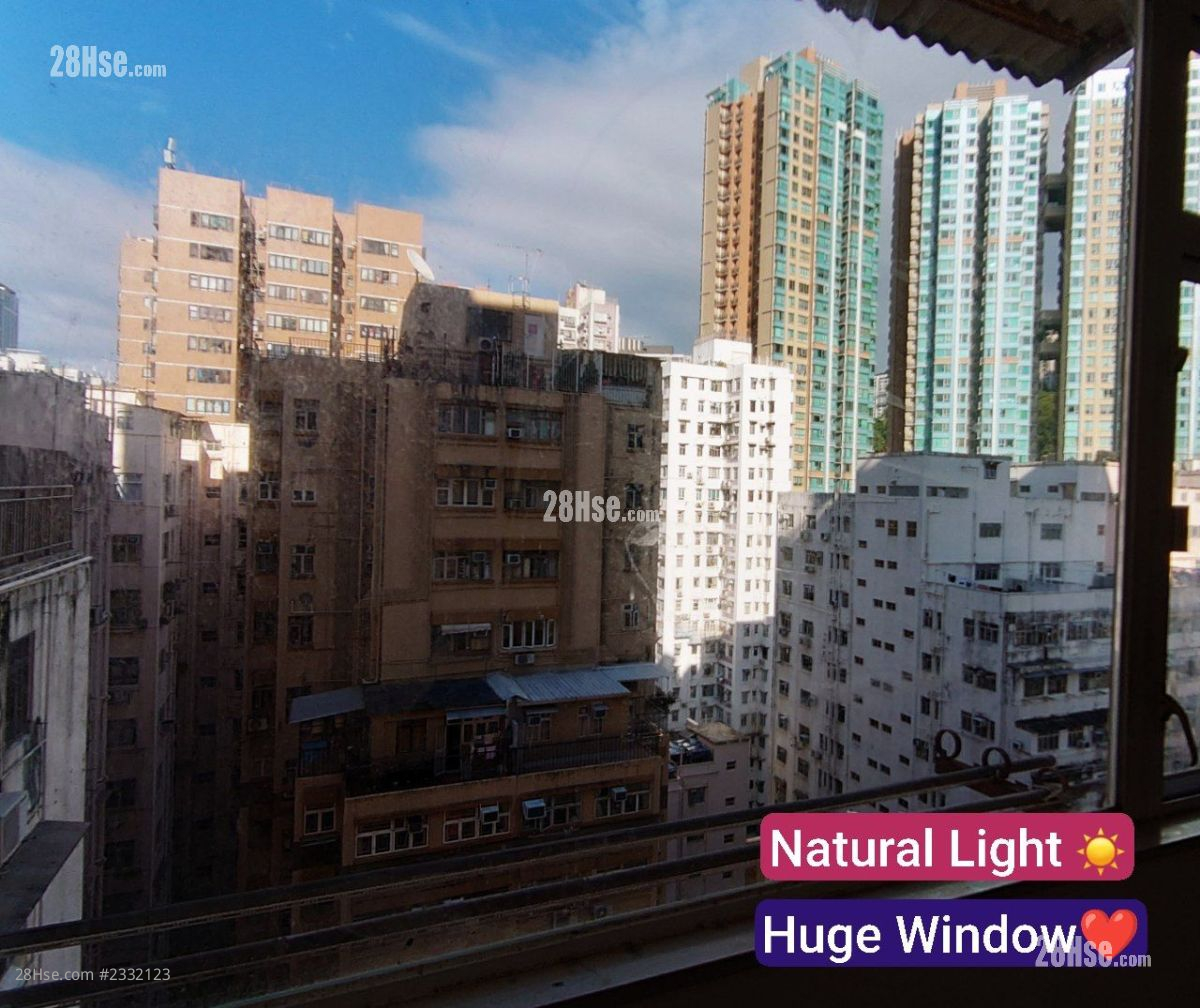 Huge window with plenty of natural light  Huge window with plenty of natural light