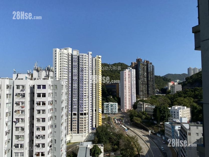 形荟 租盘 2 房 , 1 浴室 429 平方尺