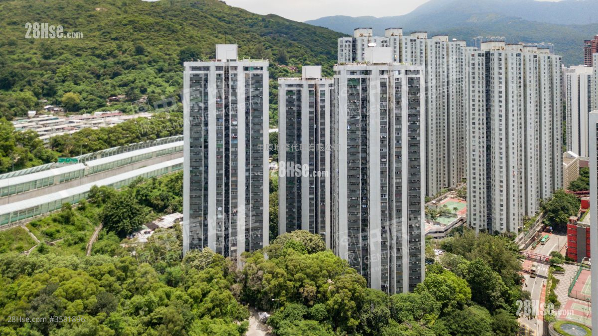 翠涛阁 租盘 2 房 , 1 浴室 477 平方尺
