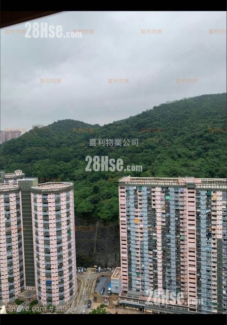光明臺 租盤 800 平方呎