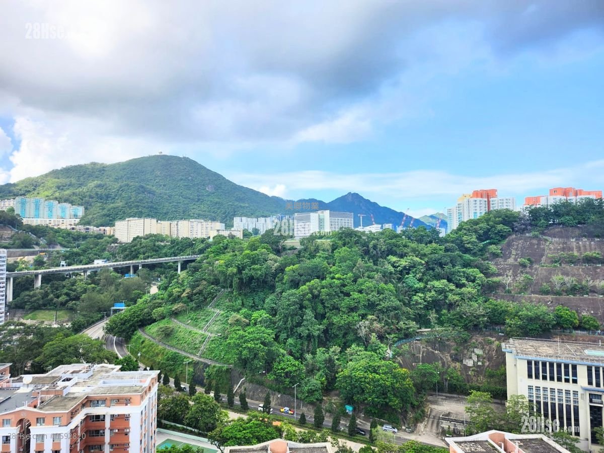荟悦 售盘 1 房 , 1 浴室 280 平方尺