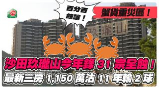 蟹货重灾区丨沙田玖珑山今年录31宗全蚀！最新三房1,150万沽 11年输2球