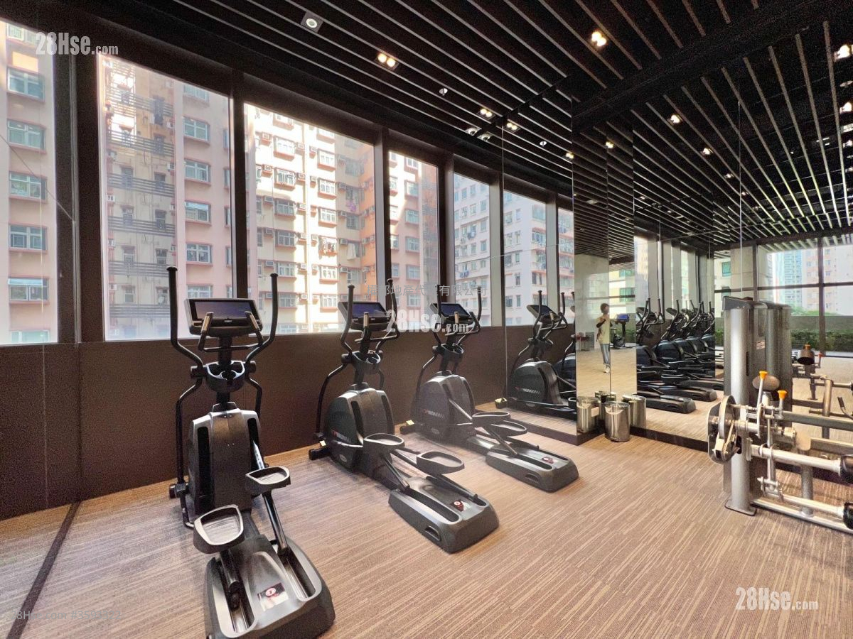 93Pauchungstreet Rental 1 Bedroom , 1 Bathroom 327 ft²