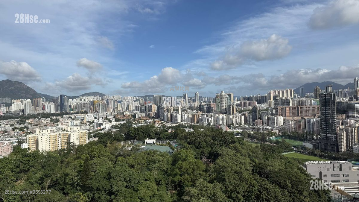 景怡峰 售盘 1 房 270 平方尺
