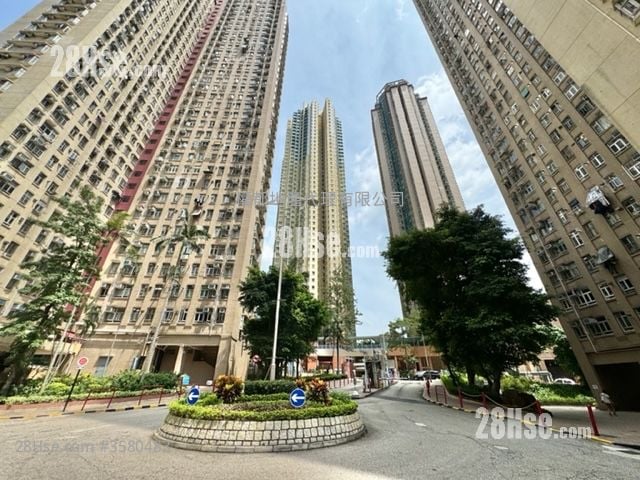 龍蟠苑 租盤 1 房 , 1 浴室 353 平方呎