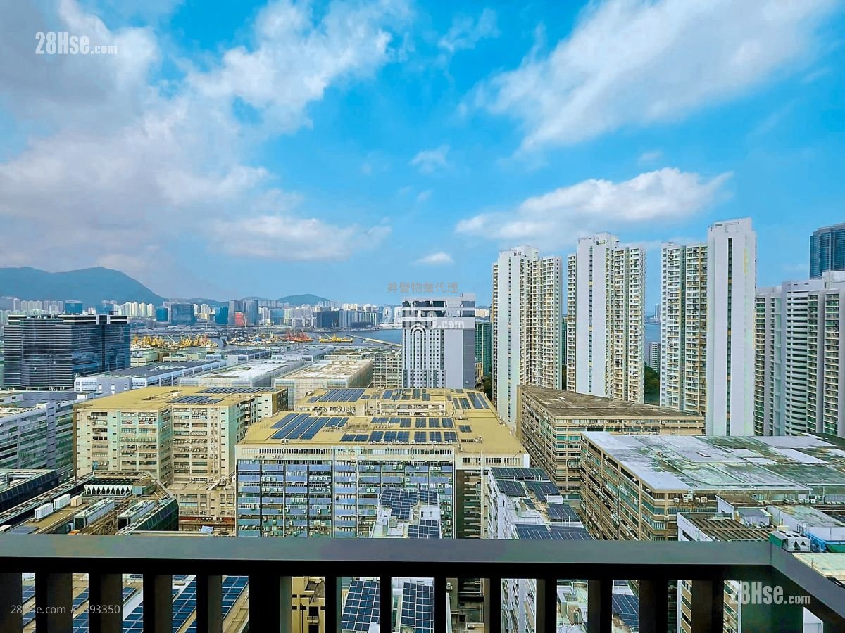 Mangrove Rental 1 Bedroom , 1 Bathroom 250 ft²
