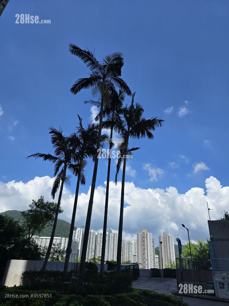 大堂行出門口的景觀