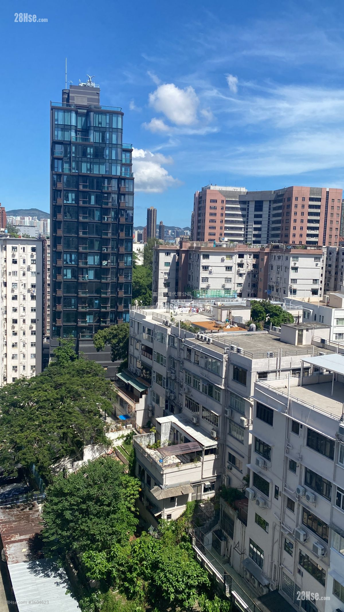 233  Prince Edward Road West Rental 4 Bedrooms , 3 Bathrooms 1,038 ft²