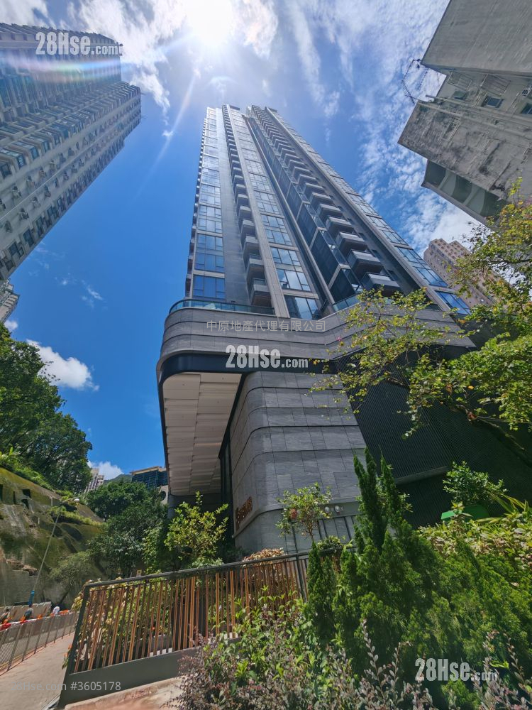 Kennedy 38 Rental 1 Bedroom , 1 Bathroom 292 ft² Kennedy 38 Rental 1 Bedroom , 1 Bathroom 292 ft²