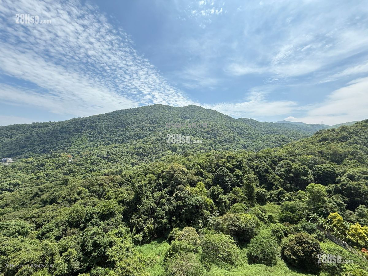 Dragons Range Sell 947 ft² Dragons Range Sell 947 ft²