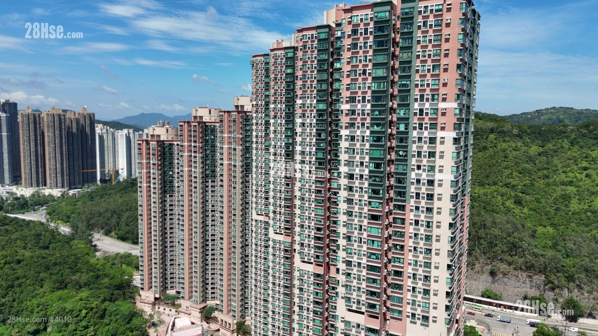 清水灣半島 大廈 清水灣半島 大廈