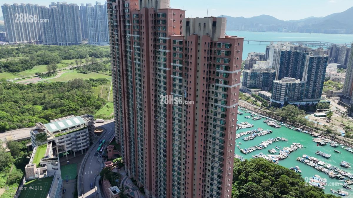 清水灣半島 大廈 清水灣半島 大廈