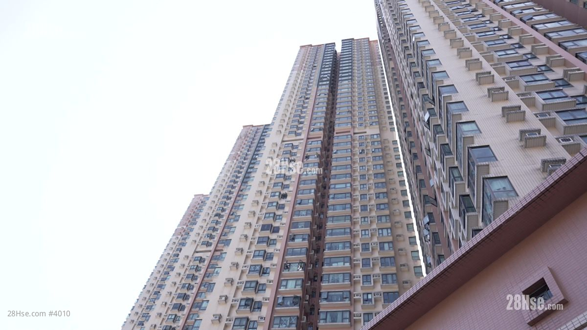 清水灣半島 大廈 清水灣半島 大廈