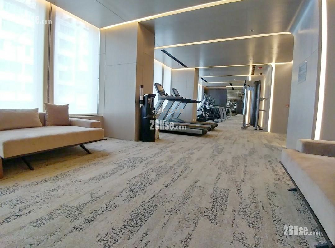 Axis Rental Studio , 1 Bathroom 204 ft² Axis Rental Studio , 1 Bathroom 204 ft²