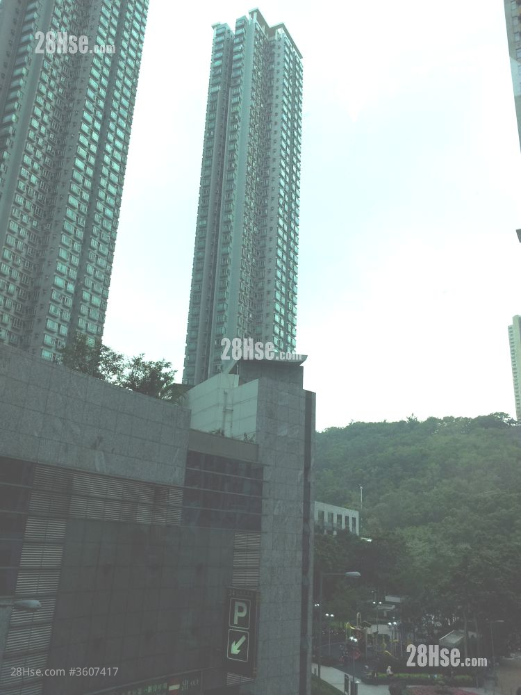 The Metro City Rental 2 Bedrooms , 1 Bathroom 364 ft² The Metro City Rental 2 Bedrooms , 1 Bathroom 364 ft²