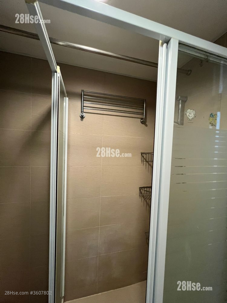 浴室: shower room 浴室: shower room
