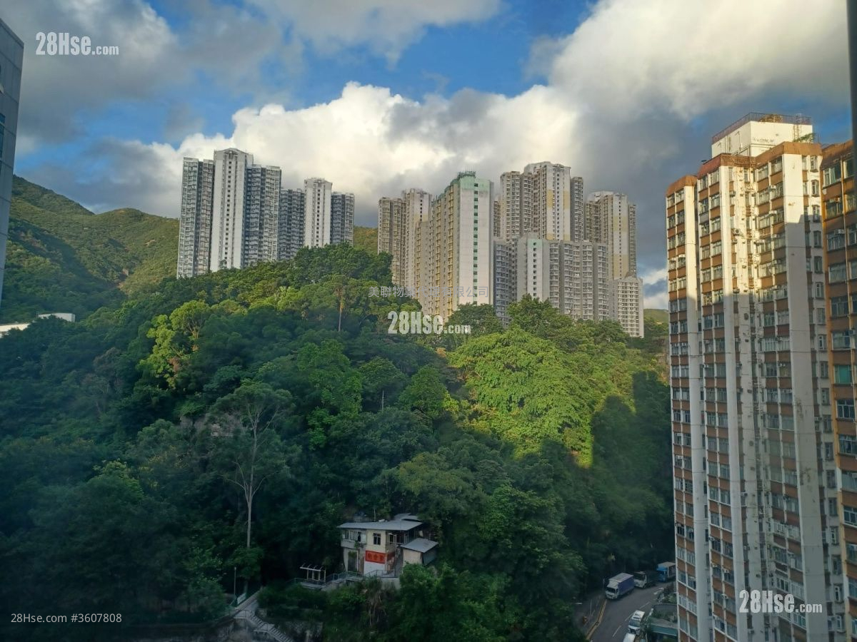 Seaview Garden Sell 1 Bedroom , 1 Bathroom 309 ft² Seaview Garden Sell 1 Bedroom , 1 Bathroom 309 ft²