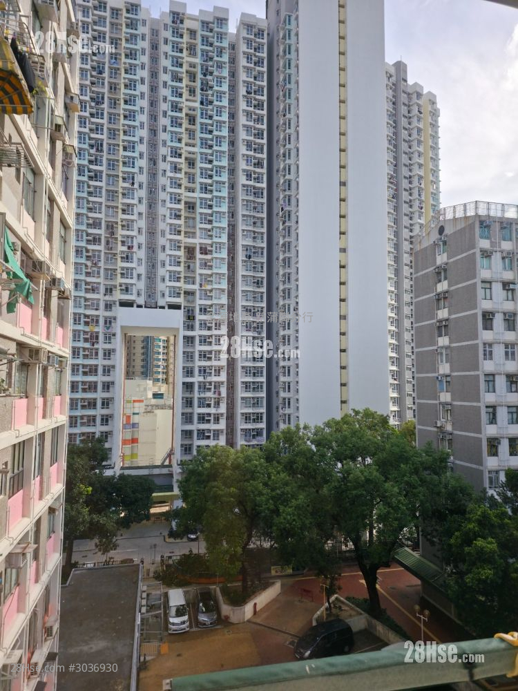 Tung Tau (Ii) Estate Sell 3 Bedrooms , 1 Bathroom 377 ft² Tung Tau (Ii) Estate Sell 3 Bedrooms , 1 Bathroom 377 ft²
