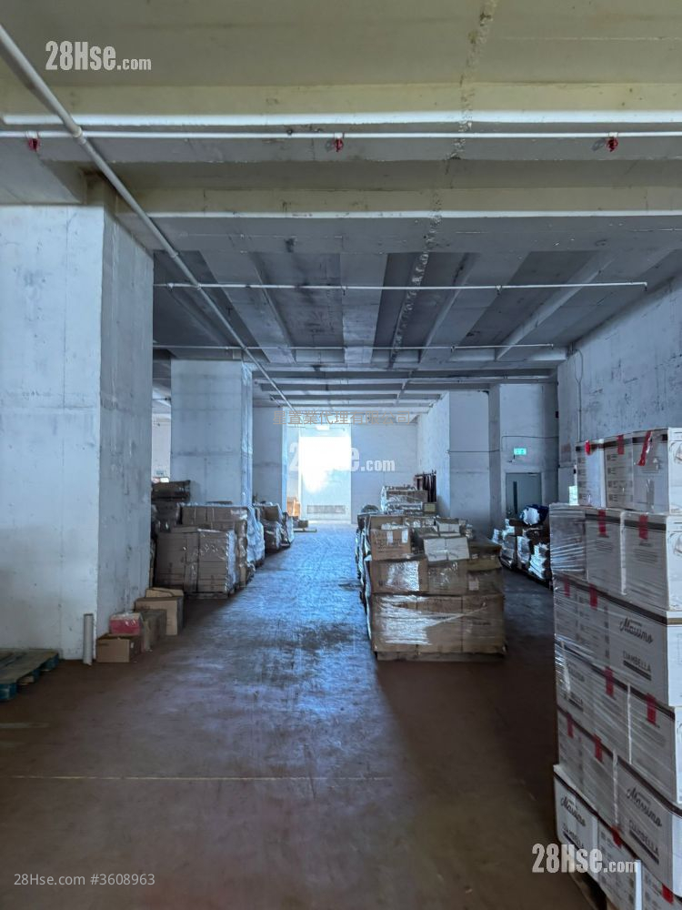 山德士中心 租盤 山德士中心 租盤