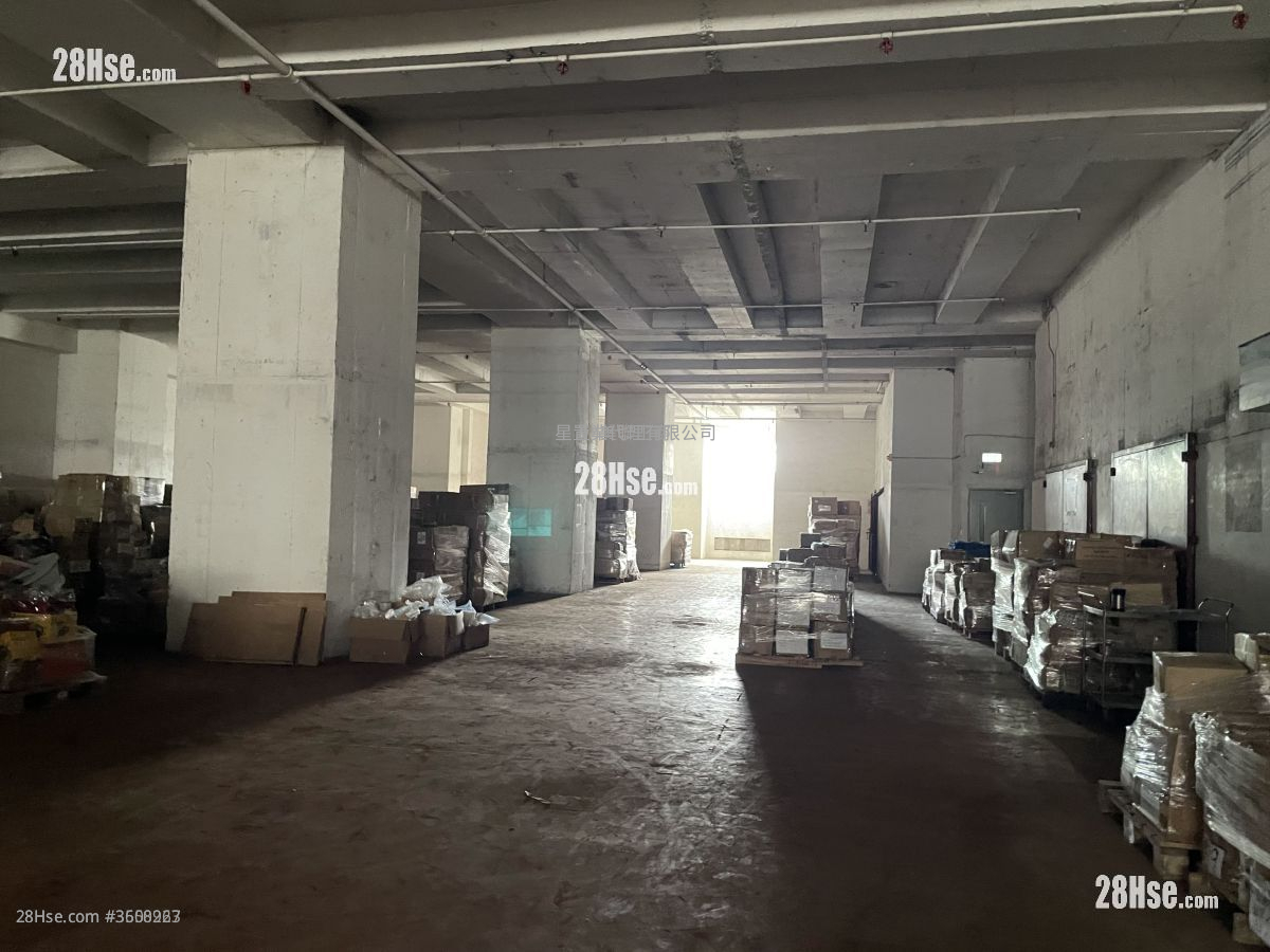 山德士中心 租盤 山德士中心 租盤