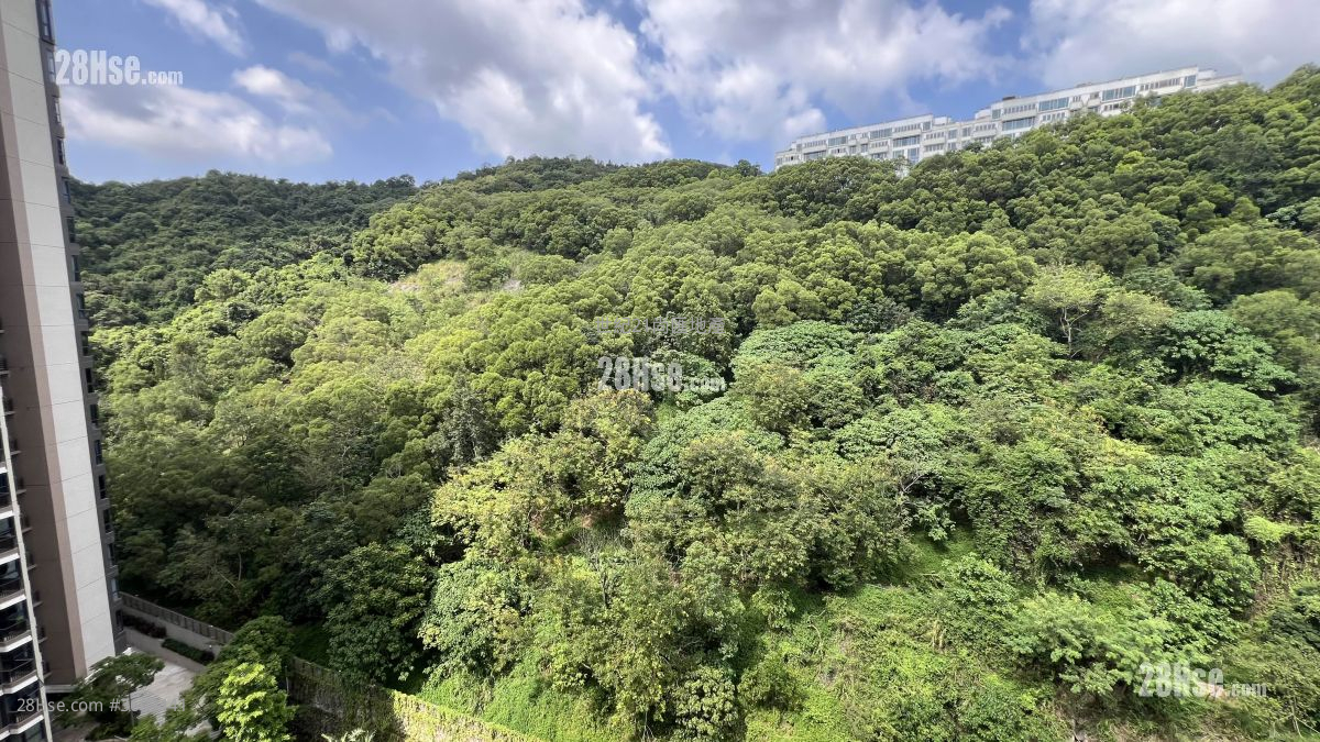 玖瓏山 租盤 3 房 , 2 浴室 982 平方呎 玖瓏山 租盤 3 房 , 2 浴室 982 平方呎