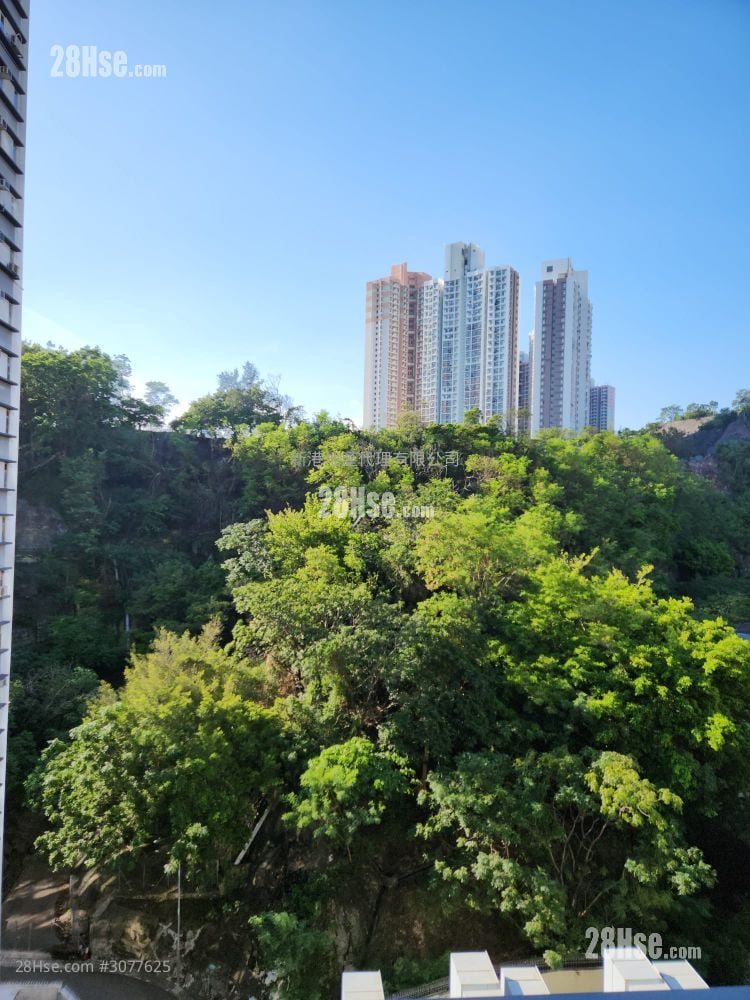 Alpine 18 Rental Studio , 1 Bathroom 225 ft²