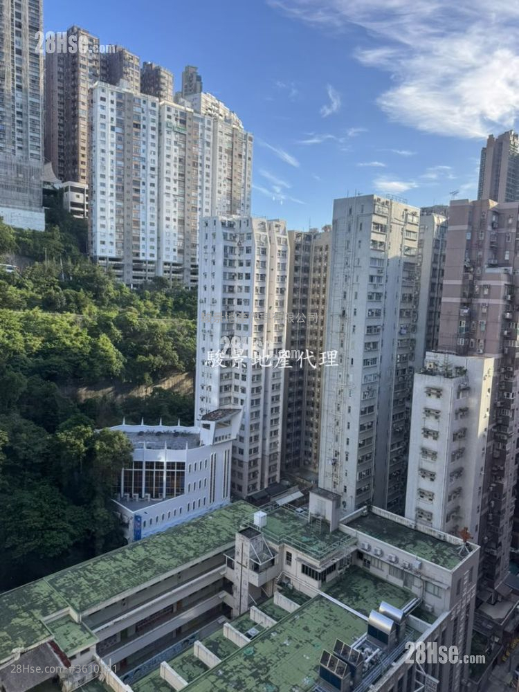 楓林花園 售盤 3 房 , 2 浴室 608 平方呎 楓林花園 售盤 3 房 , 2 浴室 608 平方呎
