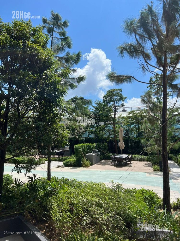 The Pavilia Forest Sell 262 ft² The Pavilia Forest Sell 262 ft²