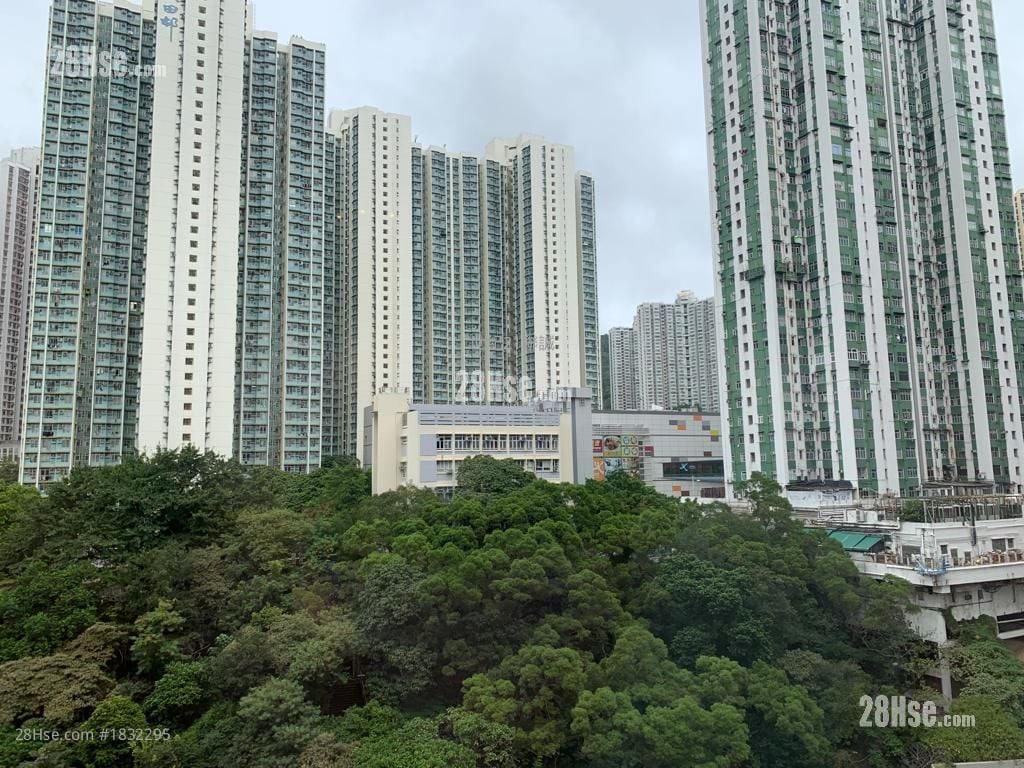 鯉安苑 售盤 3 房 , 2 浴室 650 平方呎