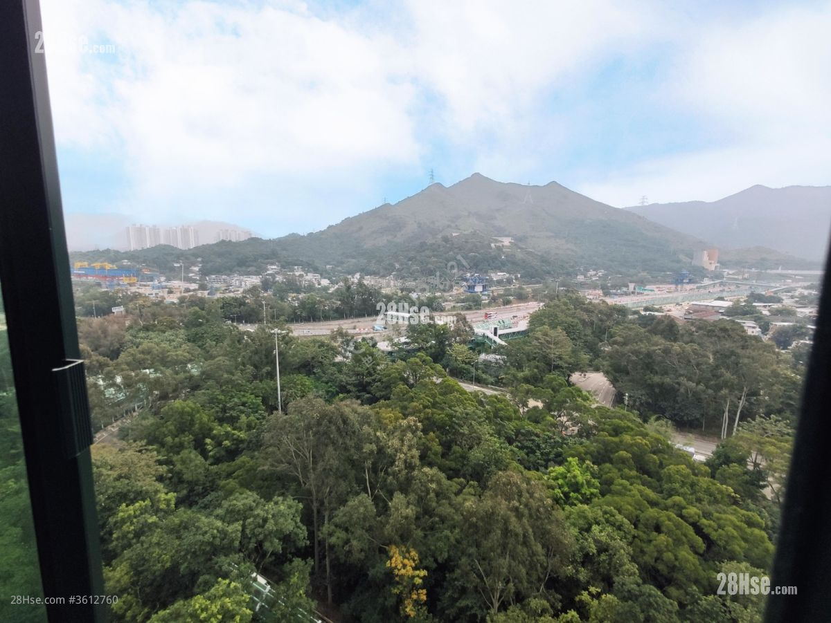 Dawning Views Rental 2 Bedrooms , 1 Bathroom 384 ft² Dawning Views Rental 2 Bedrooms , 1 Bathroom 384 ft²